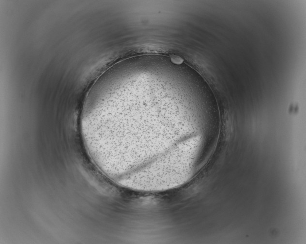 X0000113200310200909241405