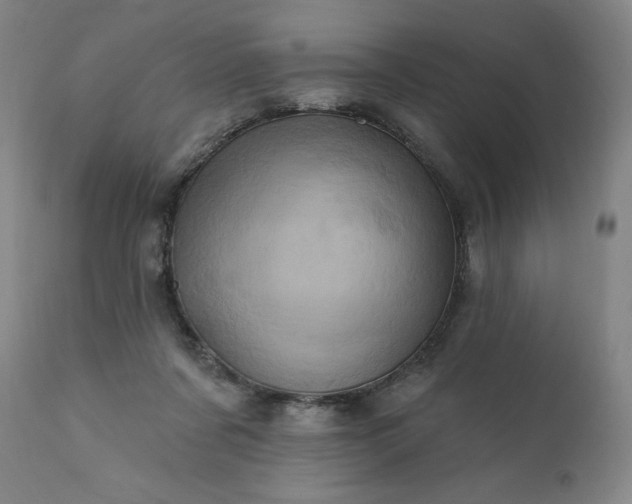 X0000113200311200909241405