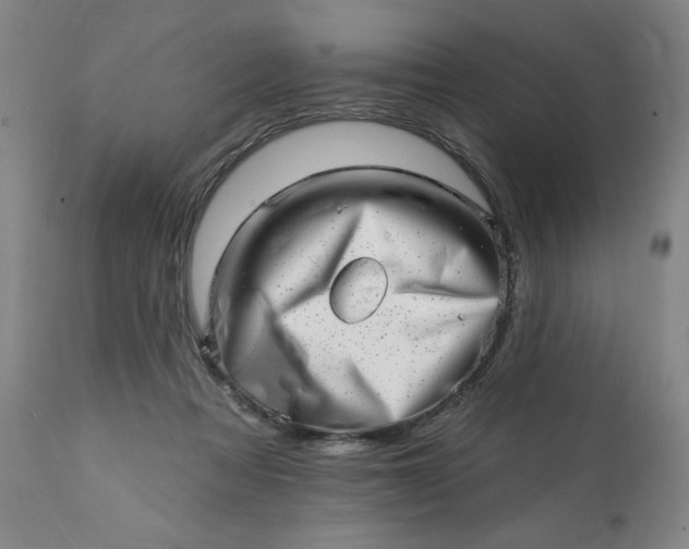 X0000113200313200909241405