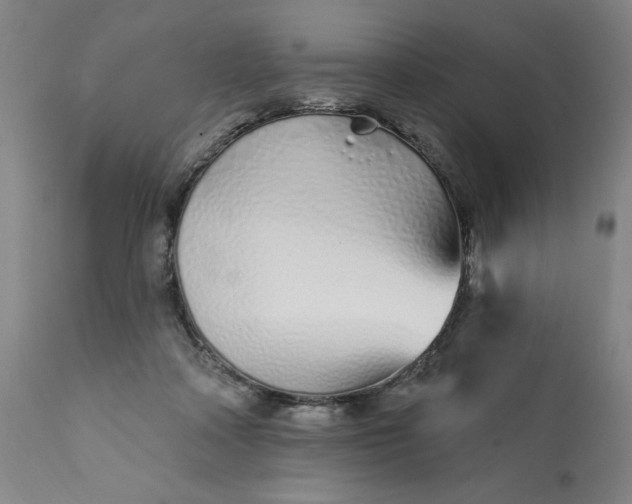 X0000113200314200909241405