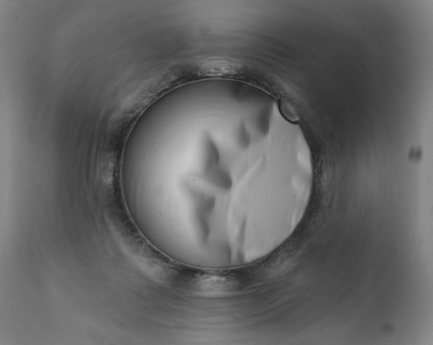 X0000113200315200909241405