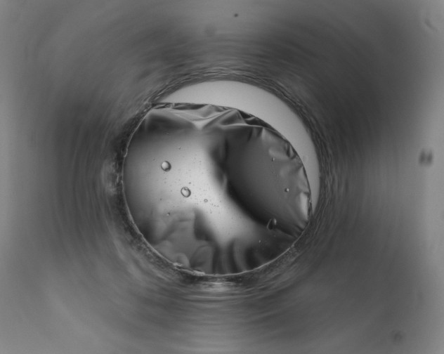 X0000113200316200909241405