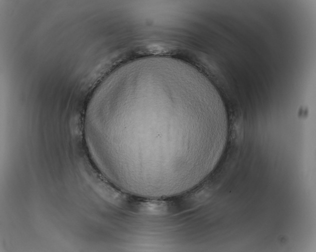 X0000113200317200909241405