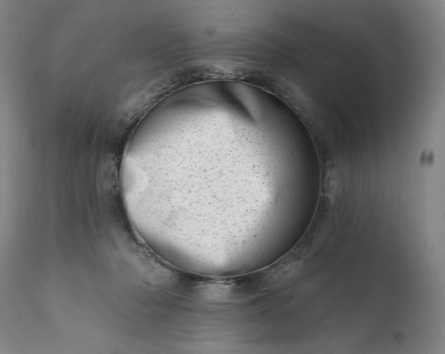 X0000113200318200909241405