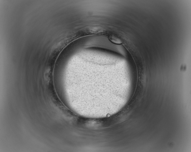 X0000113200319200909241405