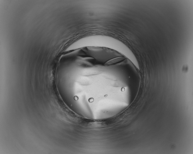 X0000113200320200909241405