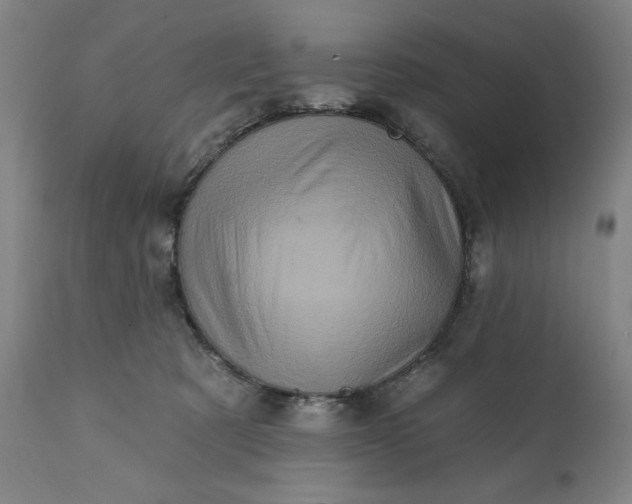 X0000113200321200909241405