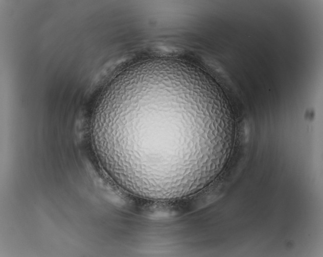 X0000113200322200909241405