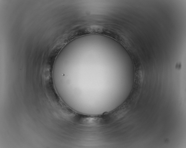 X0000113200323200909241405