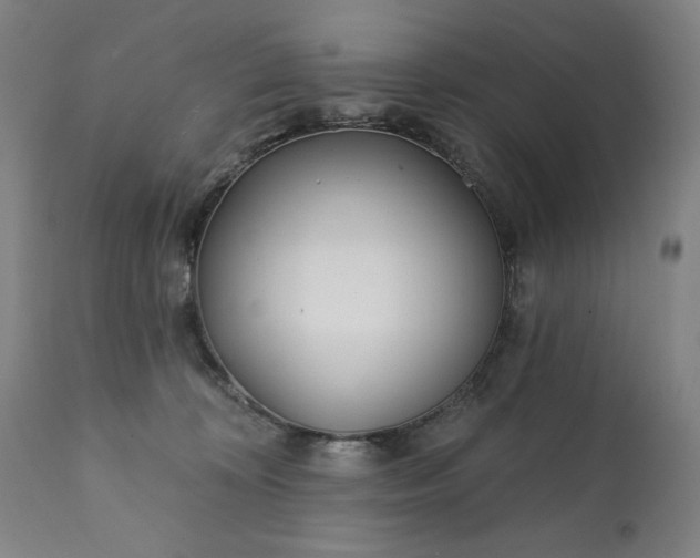 X0000113200324200909241405