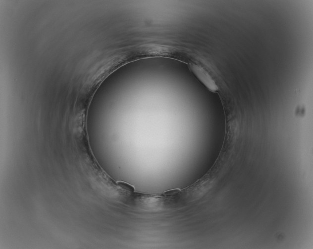 X0000113200325200909241405