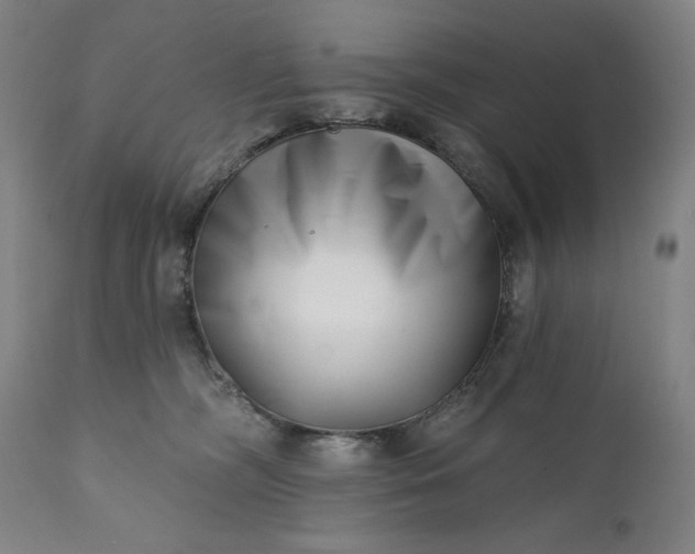 X0000113200326200909241405