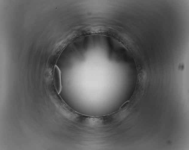 X0000113200327200909241405