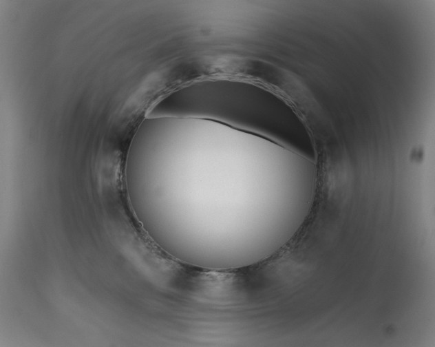 X0000113200328200909241405