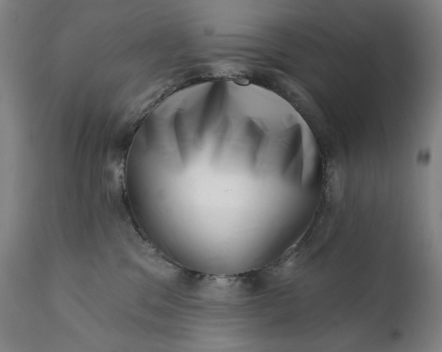 X0000113200329200909241405