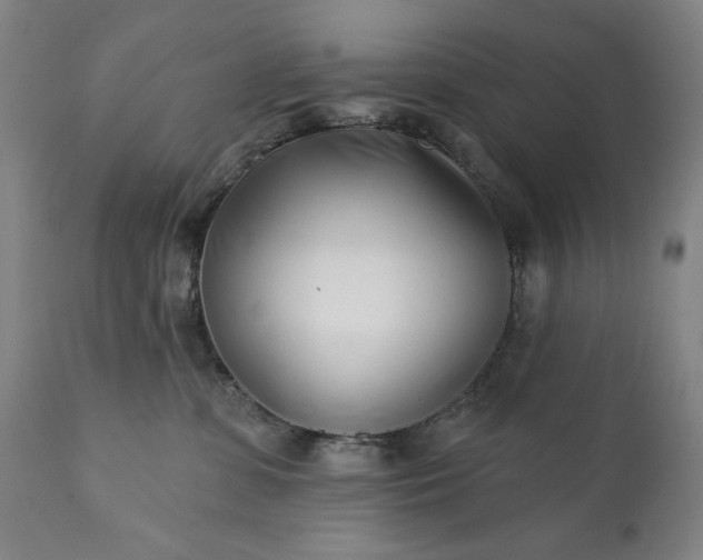 X0000113200331200909241405