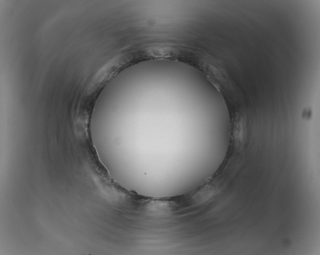 X0000113200332200909241405