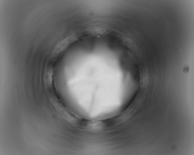 X0000113200334200909241405