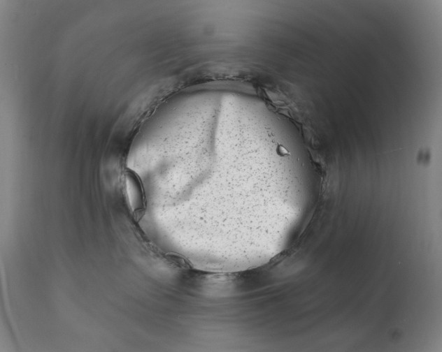 X0000113200335200909241405