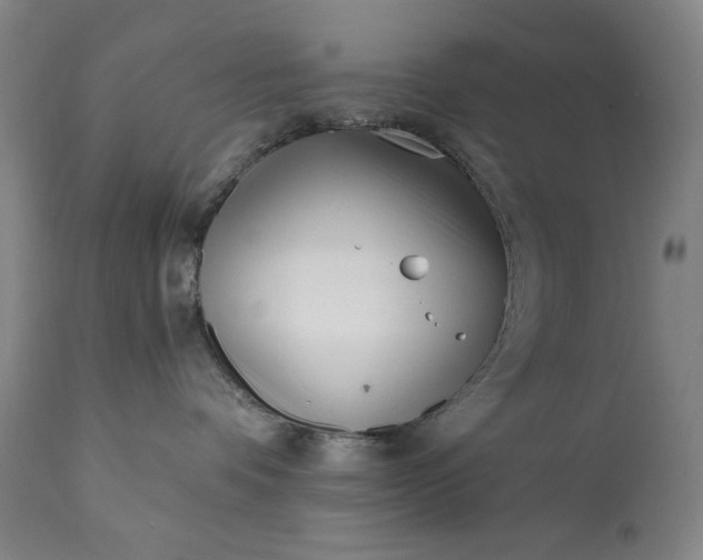 X0000113200336200909241405