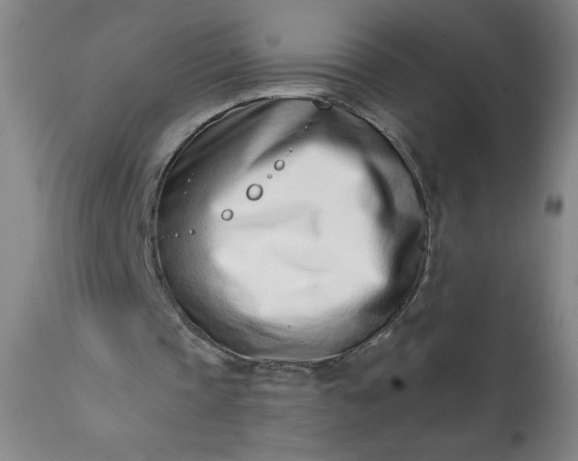 X0000113200337200909241404