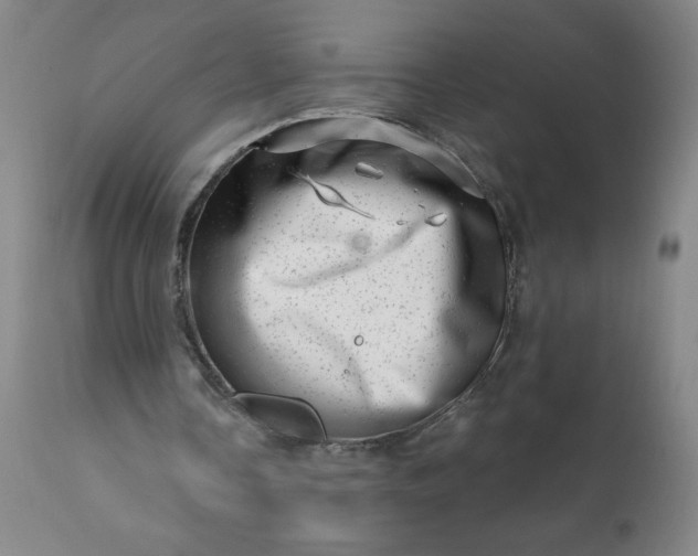 X0000113200338200909241404