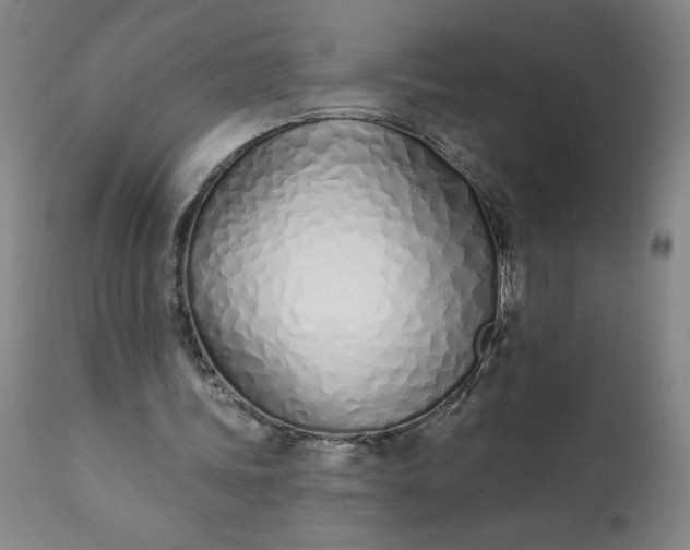 X0000113200339200909241404