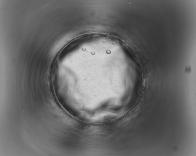 X0000113200341200909241404