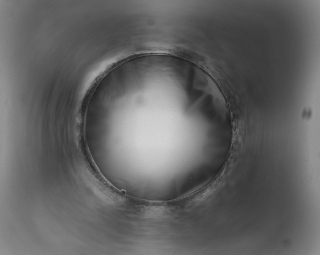 X0000113200342200909241404