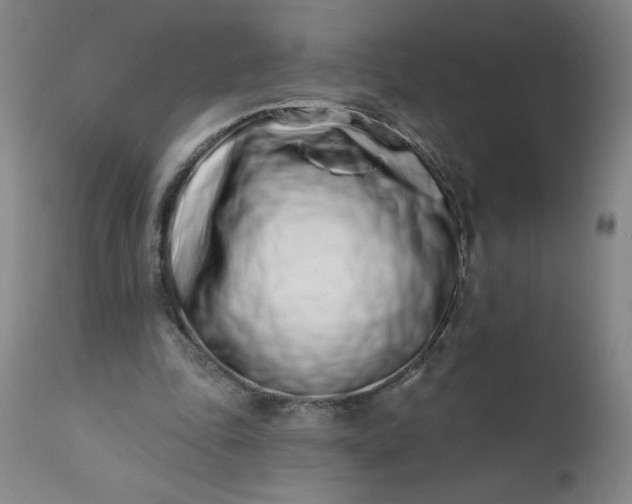 X0000113200343200909241404