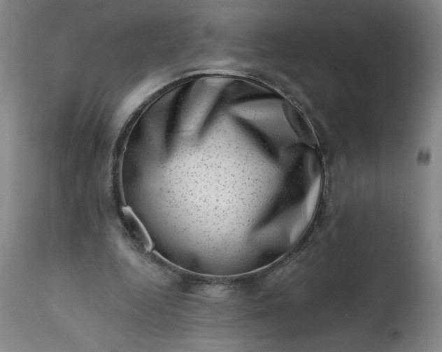 X0000113200344200909241404