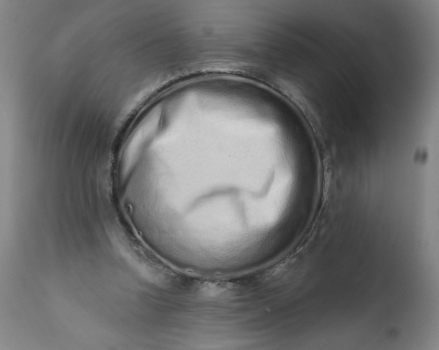 X0000113200346200909241404