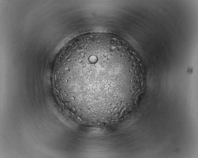 X0000113200347200909241404