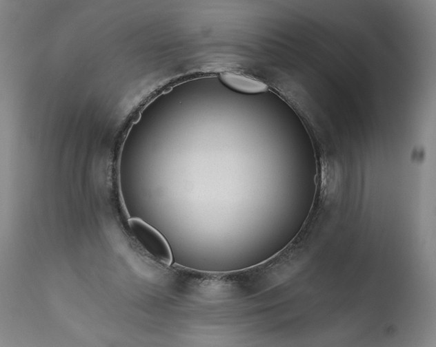 X0000113200348200909241404