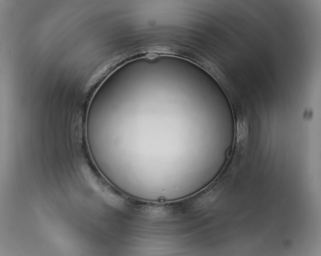 X0000113200349200909241404