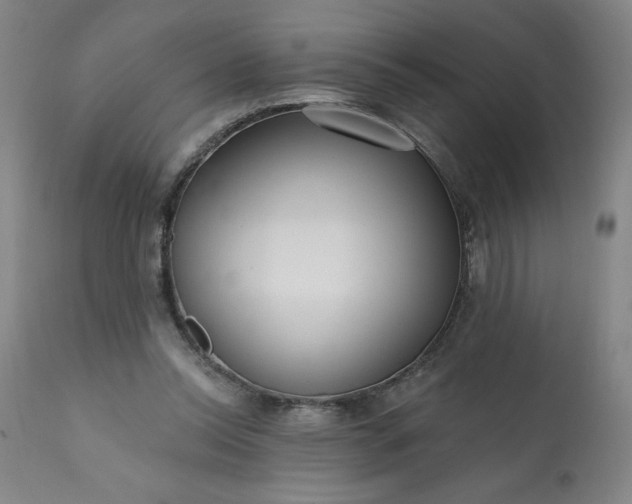 X0000113200350200909241404