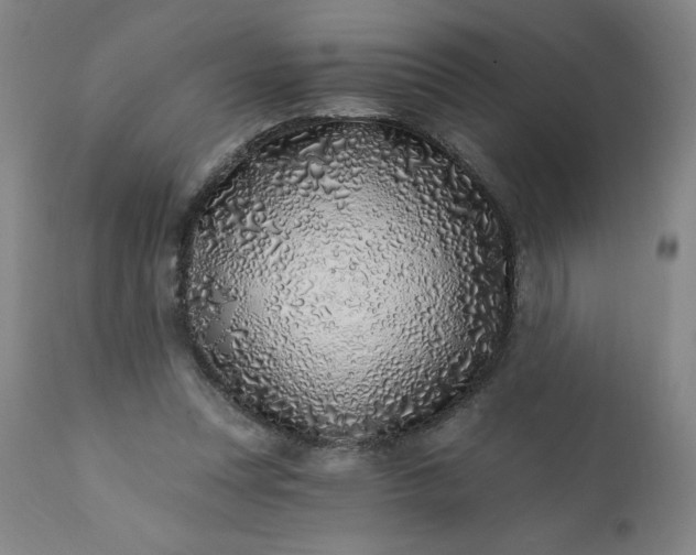 X0000113200351200909241404