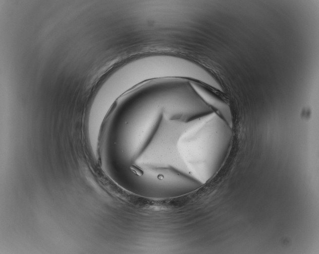 X0000113200352200909241404