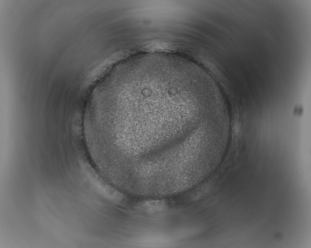 X0000113200353200909241404