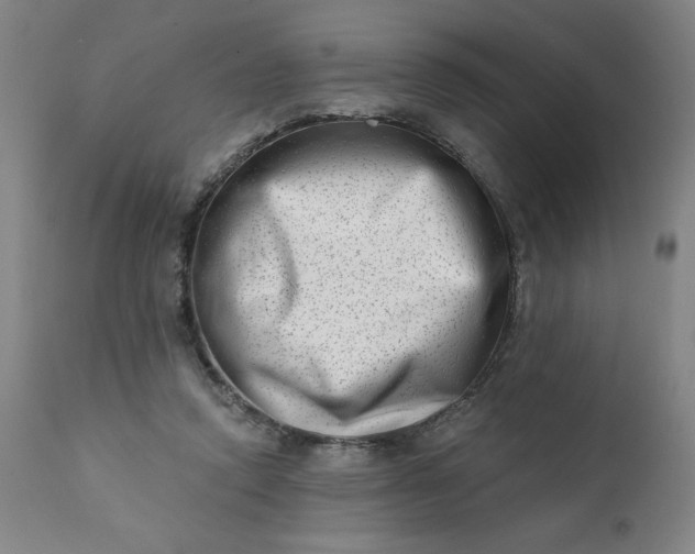 X0000113200354200909241404