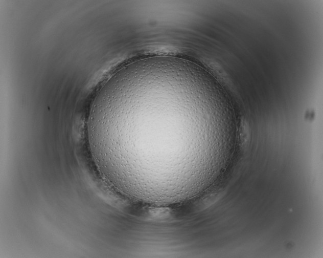 X0000113200355200909241404