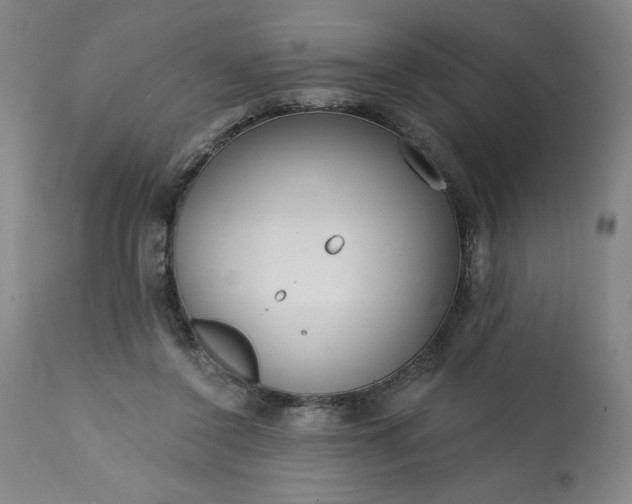 X0000113200356200909241404