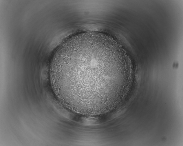 X0000113200359200909241404