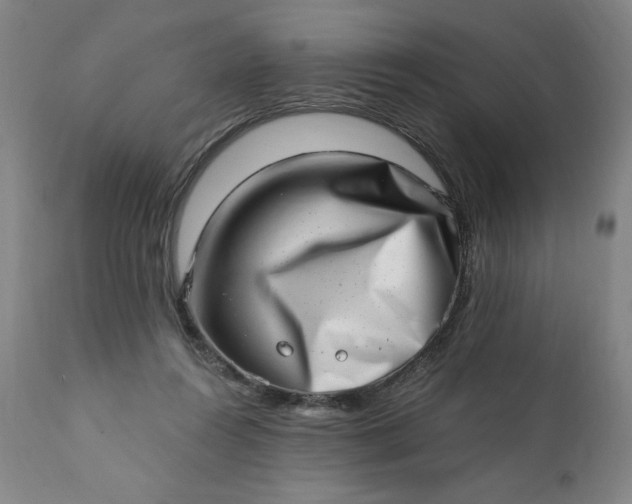 X0000113200360200909241404