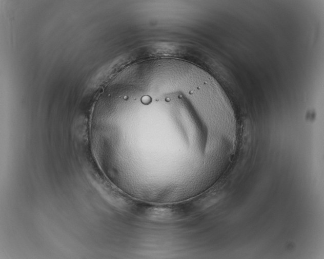 X0000113200361200909241405