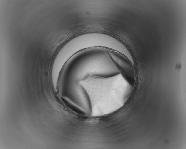 X0000113200362200909241405