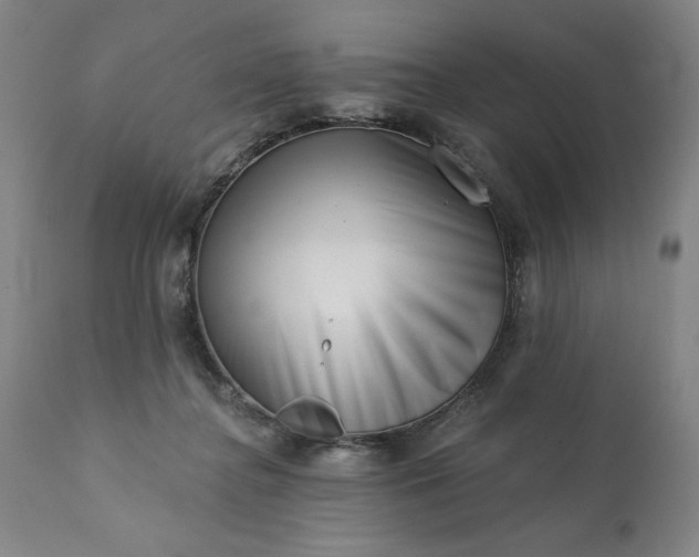 X0000113200364200909241405