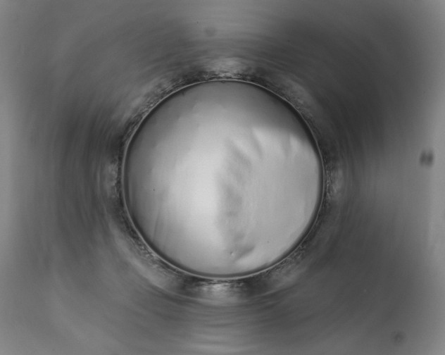 X0000113200365200909241405