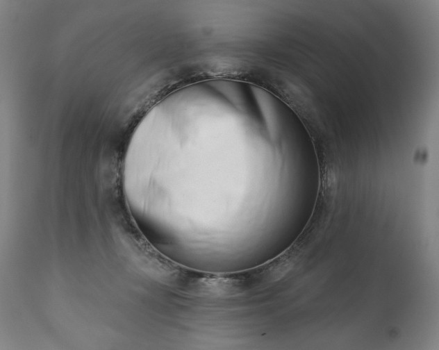 X0000113200367200909241405