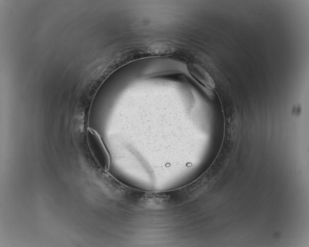 X0000113200368200909241405